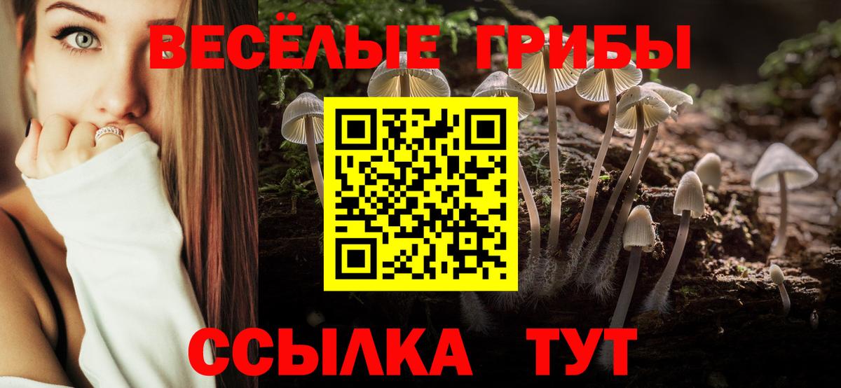 Миллерово  Псилоцибиновые грибы Cubensis  наркота  Вход с VPN 