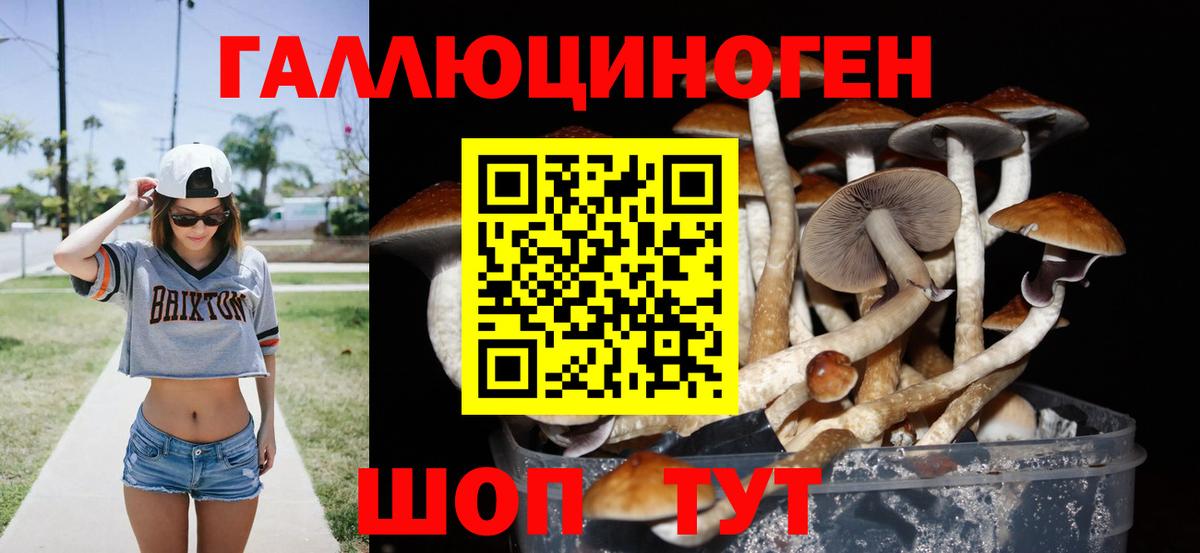 МЕФ кристаллы  ЭКСТАЗИ  Канабис  Миллерово  ГАШИШ  Меф МЯУ МЯУ  Вход с VPN 